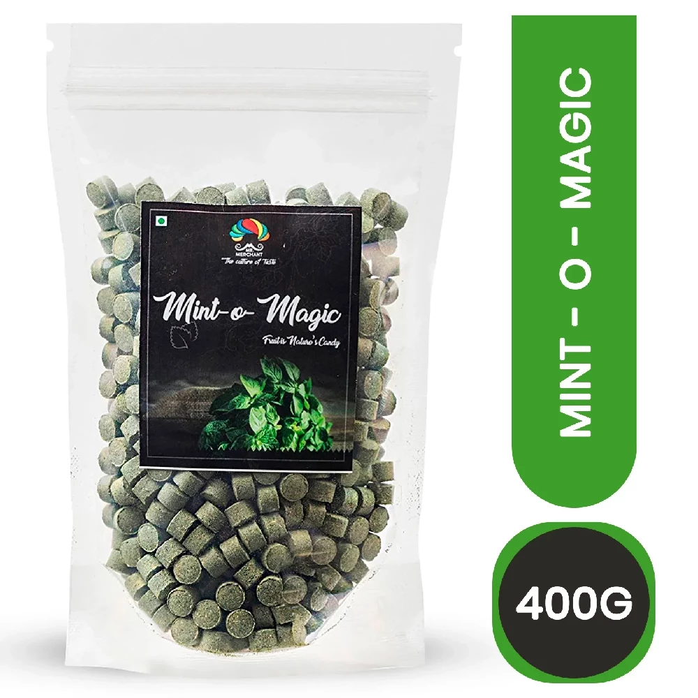 Mint-o-Magic (Pudina Vati), 400g-2.webp
